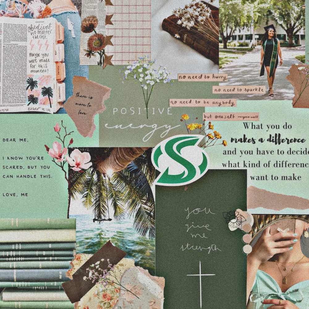 Vision boards (NO NOT BUY)